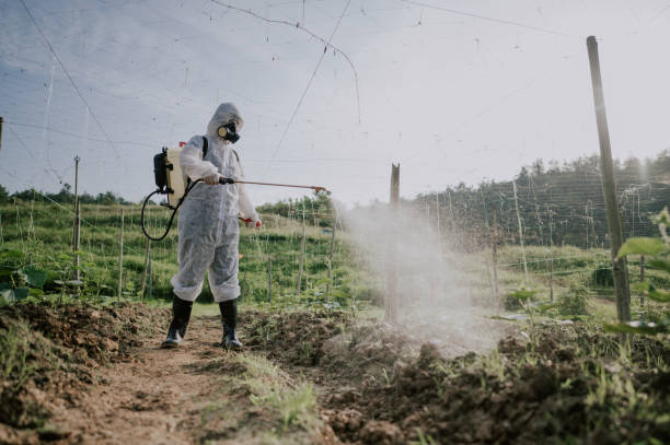 Best Pest Prevention Services  in Middlesex, NC