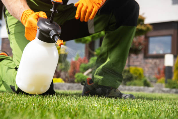 Best Rat Extermination Near Me  in Middlesex, NC