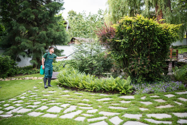 Best Local Pest Control Services  in Middlesex, NC