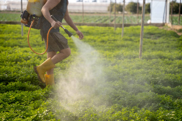 Best Best Pest Control Companies  in Middlesex, NC