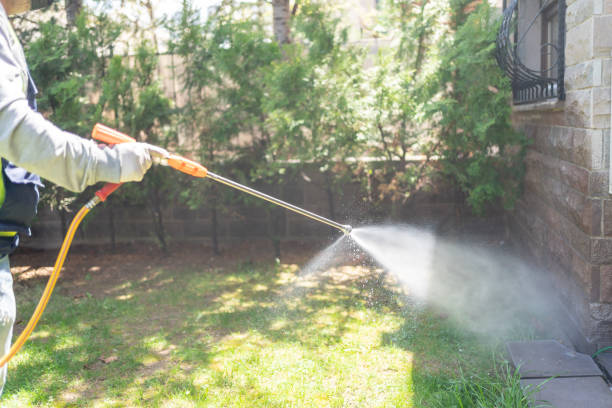Best Flea Control Services  in Middlesex, NC