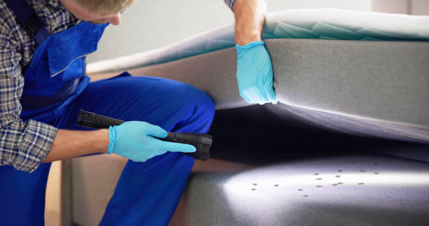Best Rat Extermination Near Me  in Middlesex, NC
